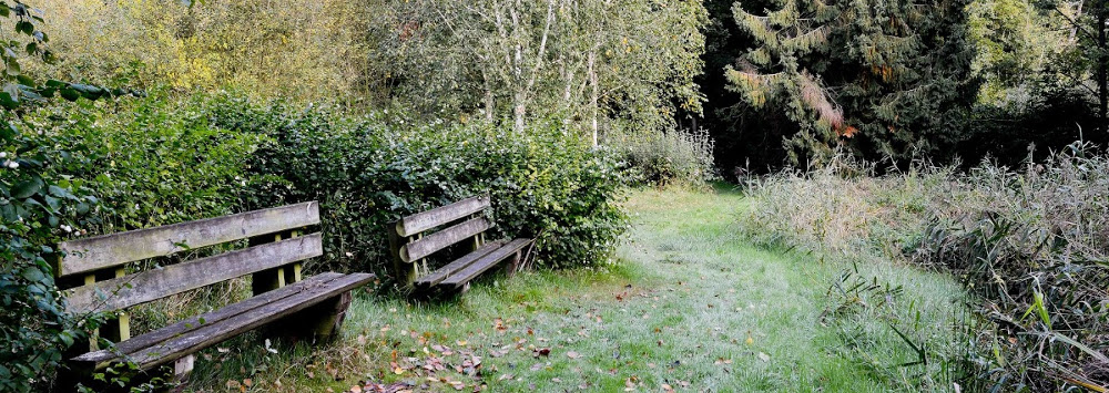 LaCorbie5-1000x355.jpg